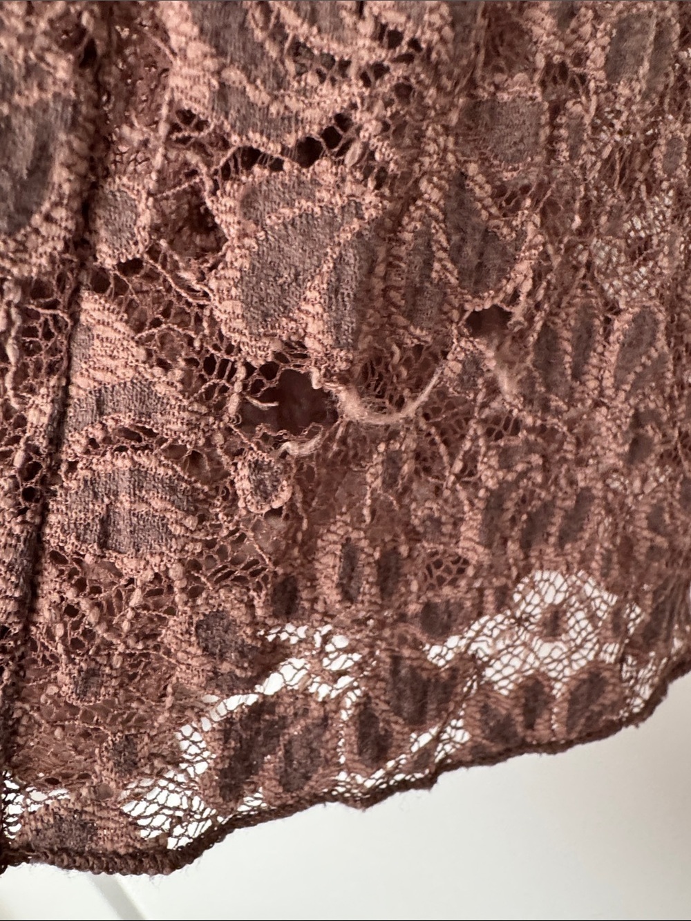 Forever 21 Light Brown Floral Lace Long Sleeve Sheer Top - Picture 3 of 9